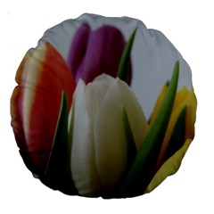 Colored By Tulips Large 18  Premium Round Cushions by picsaspassion