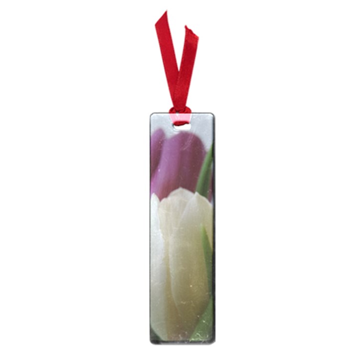 Colored by Tulips Small Book Marks