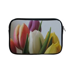 Colored By Tulips Apple Ipad Mini Zipper Cases by picsaspassion