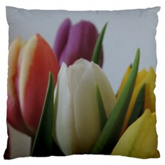 Colored By Tulips Standard Flano Cushion Case (two Sides) by picsaspassion