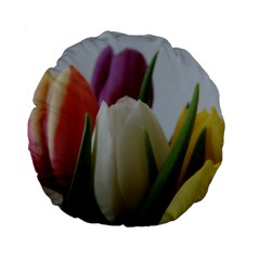 Colored By Tulips Standard 15  Premium Flano Round Cushions by picsaspassion