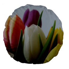 Colored By Tulips Large 18  Premium Flano Round Cushions by picsaspassion