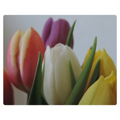 Colored By Tulips Double Sided Flano Blanket (medium)  by picsaspassion