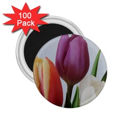 Tulip spring flowers 2.25  Magnets (100 pack) 