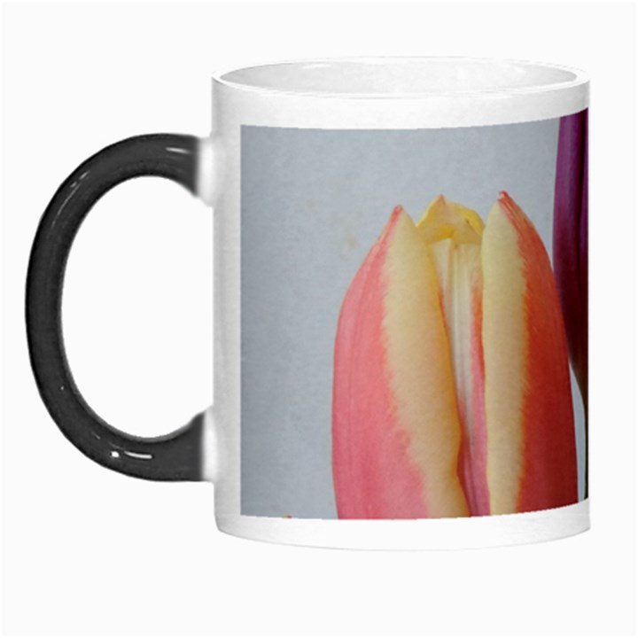 Tulip spring flowers Morph Mugs