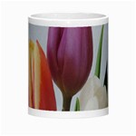 Tulip spring flowers Morph Mugs Center