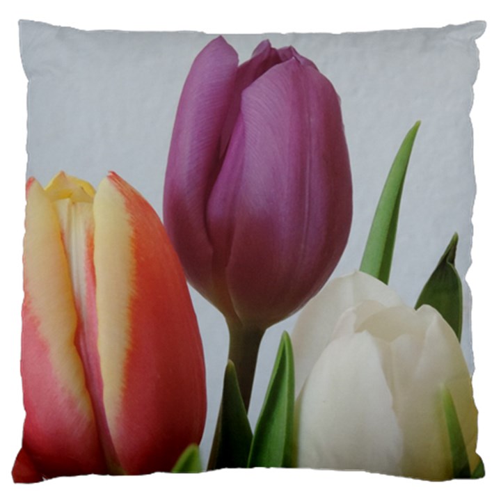 Tulip spring flowers Large Cushion Case (Two Sides)