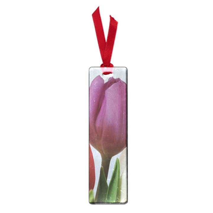 Tulip spring flowers Small Book Marks