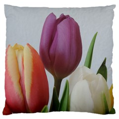 Tulip Spring Flowers Standard Flano Cushion Case (two Sides)