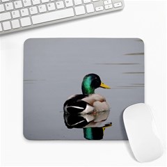 Swimming Duck Large Mousepads by picsaspassion