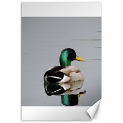 Swimming Duck Canvas 20  X 30   by picsaspassion