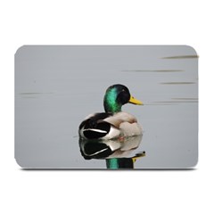 Swimming Duck Plate Mats by picsaspassion