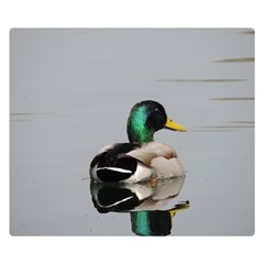 Swimming Duck Double Sided Flano Blanket (small)  by picsaspassion