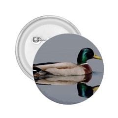 Wild Duck Swimming In Lake 2 25  Buttons by picsaspassion