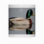 Wild Duck swimming in lake White Mugs Center