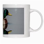 Wild Duck swimming in lake White Mugs Right