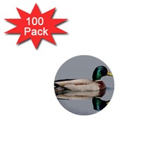 Wild Duck Swimming In Lake 1  Mini Buttons (100 Pack)  by picsaspassion