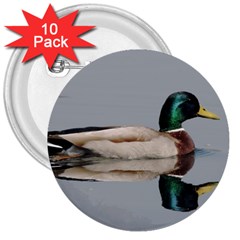 Wild Duck Swimming In Lake 3  Buttons (10 Pack)  by picsaspassion