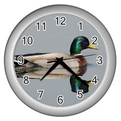 Wild Duck Swimming In Lake Wall Clocks (silver)  by picsaspassion