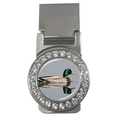 Wild Duck Swimming In Lake Money Clips (cz)  by picsaspassion