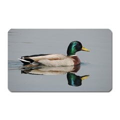 Wild Duck Swimming In Lake Magnet (rectangular)