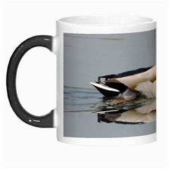 Wild Duck Swimming In Lake Morph Mugs by picsaspassion