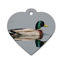 Wild Duck Swimming In Lake Dog Tag Heart (one Side) by picsaspassion