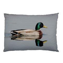 Wild Duck Swimming In Lake Pillow Case by picsaspassion