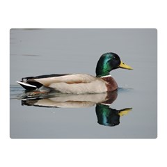 Wild Duck Swimming In Lake Double Sided Flano Blanket (mini) 