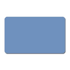 Blue Color Magnet (rectangular)