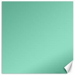 Mint Color Canvas 20  X 20   by picsaspassion