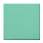 Mint color Face Towel Front