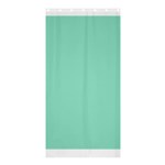 Mint color Shower Curtain 36  x 72  (Stall)  Curtain(36 X72 ) - 33.26 x66.24  Curtain(36 X72 )