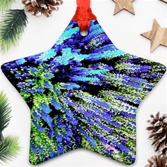 Colorful Floral Art Ornament (Star) 