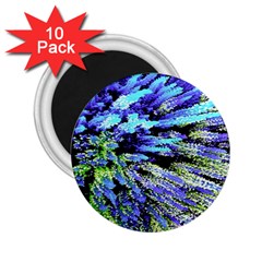 Colorful Floral Art 2.25  Magnets (10 pack) 