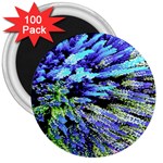 Colorful Floral Art 3  Magnets (100 pack) Front