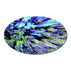 Colorful Floral Art Oval Magnet