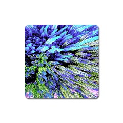 Colorful Floral Art Square Magnet