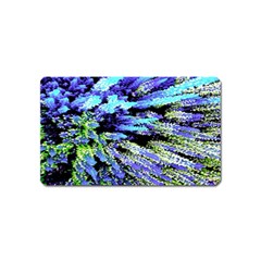 Colorful Floral Art Magnet (name Card) by yoursparklingshop