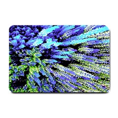 Colorful Floral Art Small Doormat 