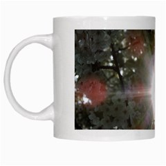 Sun Rays Through White Cherry Blossoms White Mugs by picsaspassion