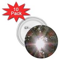 Sun Rays Through White Cherry Blossoms 1 75  Buttons (10 Pack)