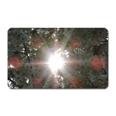 Sun Rays Through White Cherry Blossoms Magnet (rectangular) by picsaspassion