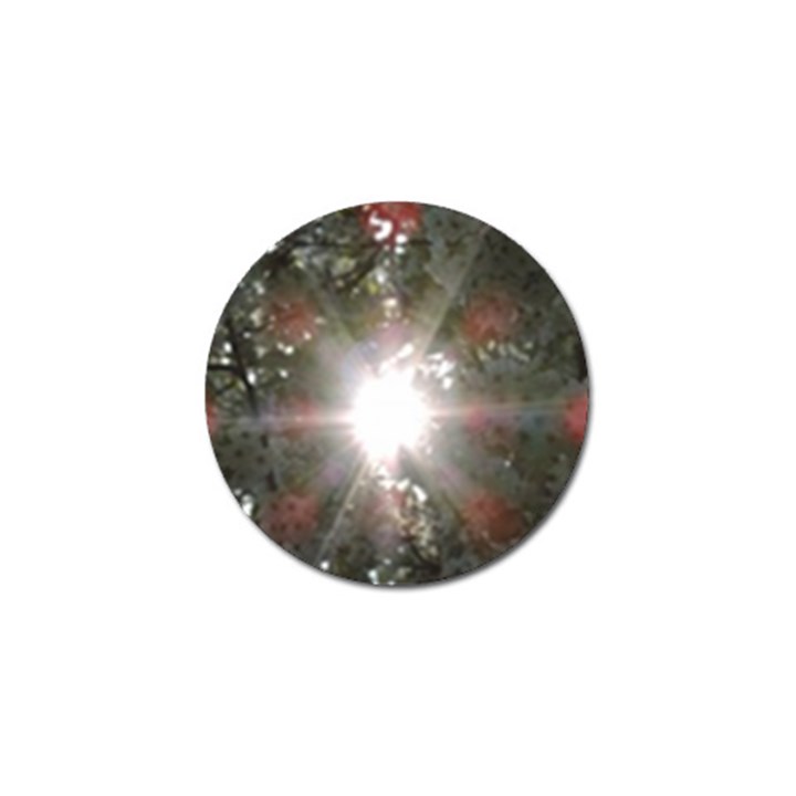 Sun rays through white cherry blossoms Golf Ball Marker