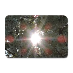 Sun Rays Through White Cherry Blossoms Plate Mats