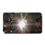 Sun rays through white cherry blossoms Medium Bar Mats 16 x8.5  Bar Mat