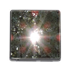 Sun Rays Through White Cherry Blossoms Memory Card Reader (square) by picsaspassion