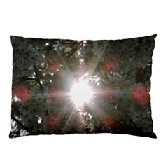 Sun Rays Through White Cherry Blossoms Pillow Case (two Sides)