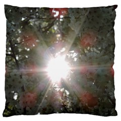 Sun Rays Through White Cherry Blossoms Standard Flano Cushion Case (one Side) by picsaspassion