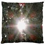 Sun rays through white cherry blossoms Large Flano Cushion Case (Two Sides) Front